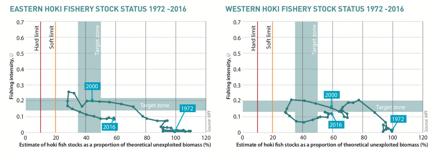 Hoki Stock Assessments diagram