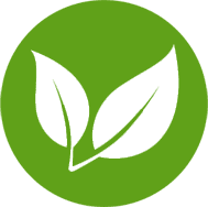100% Vegan & Sustainable