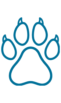 animal food