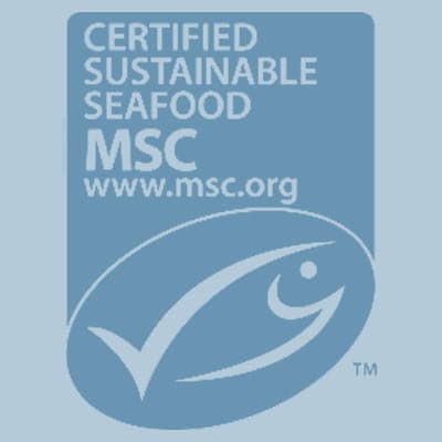 msc
